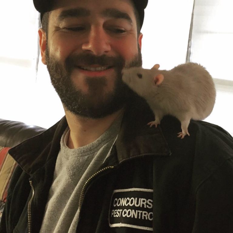 The Pest On My Shoulder rat on my shoulder - Catchy Pest Control
